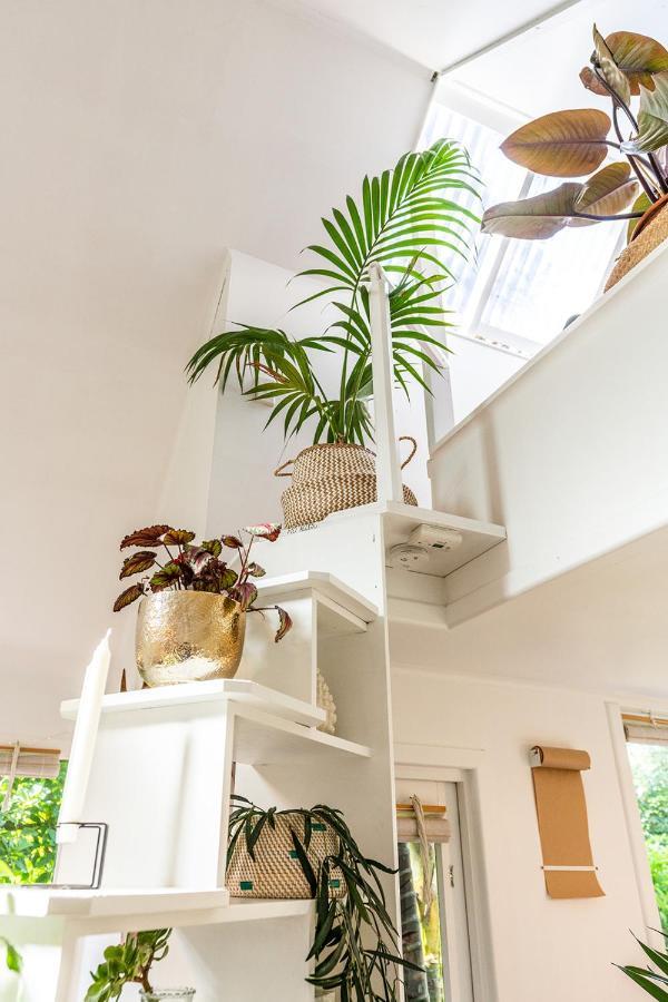 Villa Boho Hill Waiheke Island Palm Beach Exterior foto