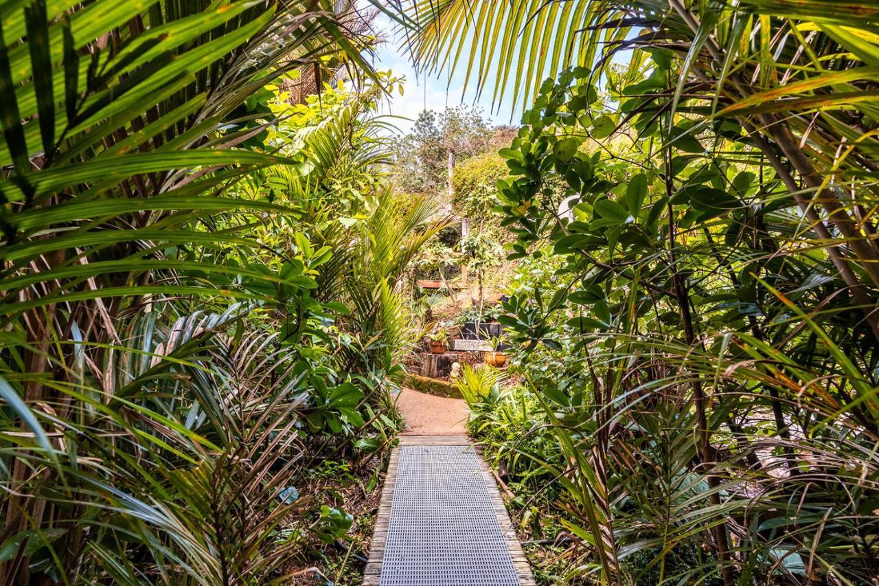 Villa Boho Hill Waiheke Island Palm Beach Exterior foto