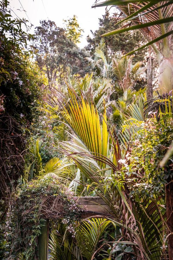 Villa Boho Hill Waiheke Island Palm Beach Exterior foto