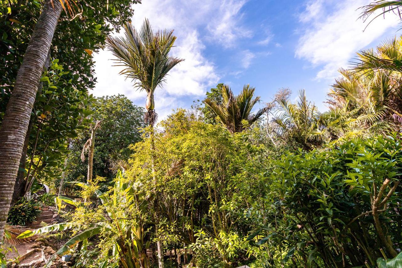 Villa Boho Hill Waiheke Island Palm Beach Exterior foto