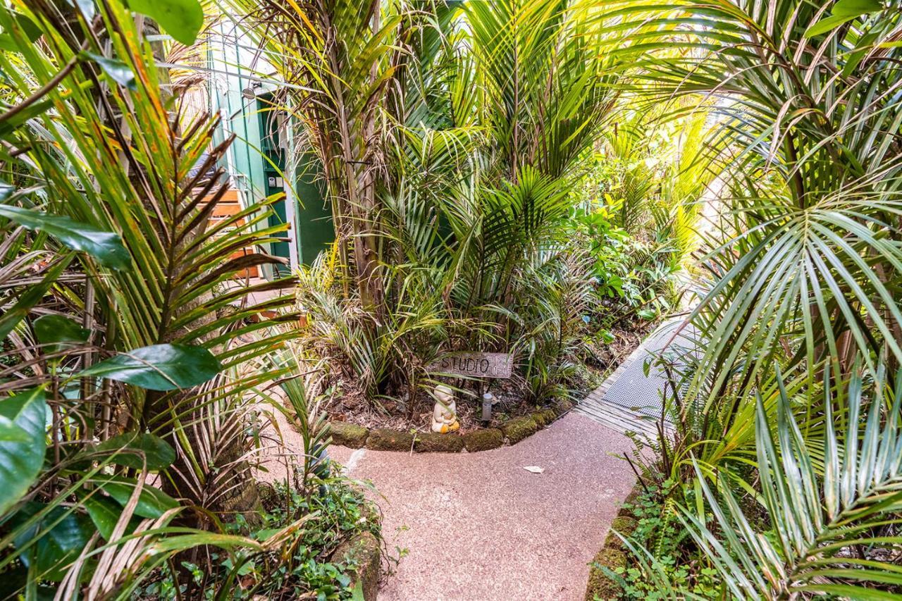 Villa Boho Hill Waiheke Island Palm Beach Exterior foto
