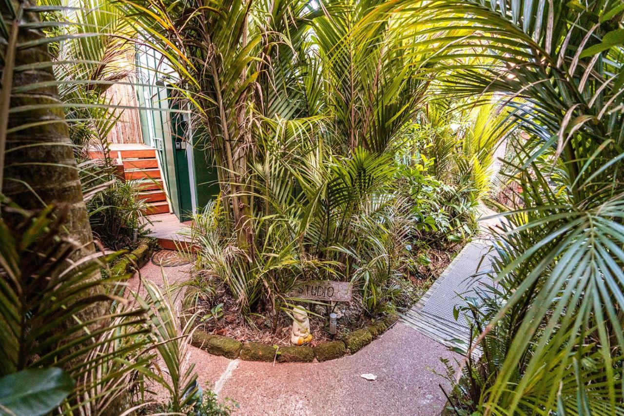 Villa Boho Hill Waiheke Island Palm Beach Exterior foto